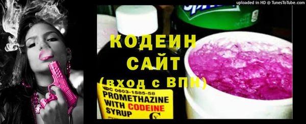 мдпв Кодинск
