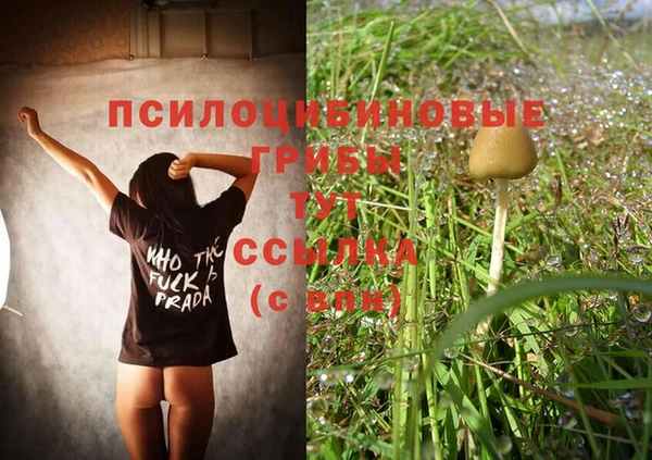 спайс Козельск