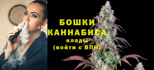 мдпв Кодинск