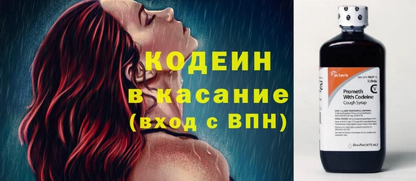 ГАЛЛЮЦИНОГЕННЫЕ ГРИБЫ Корсаков